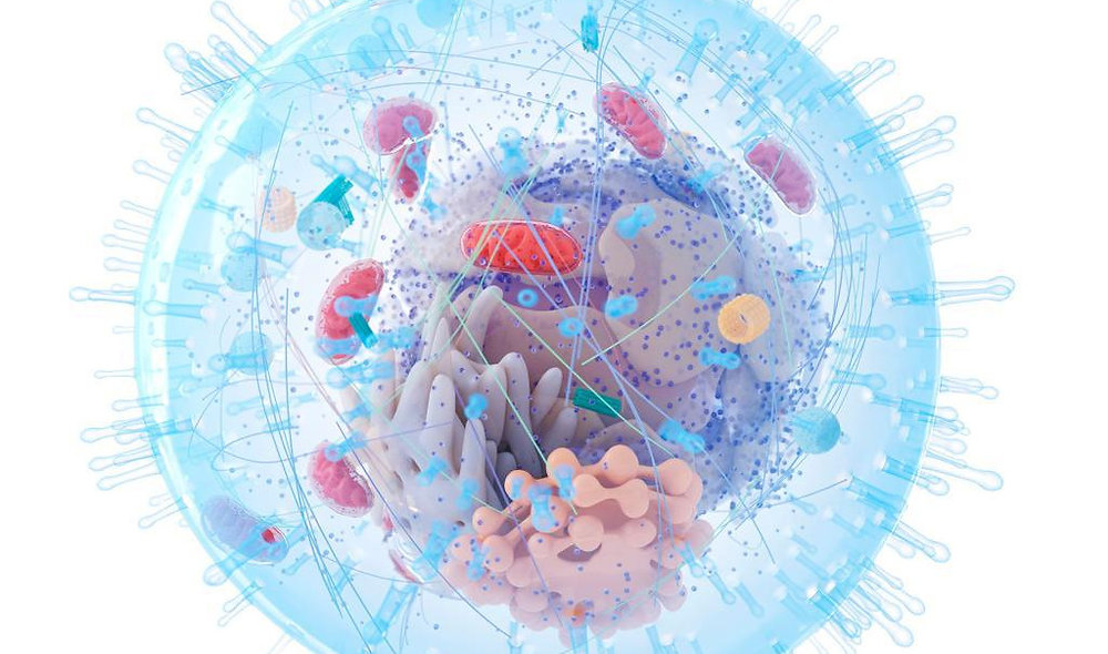 Simpósio aborda estudos do metabolismo das células tumorais