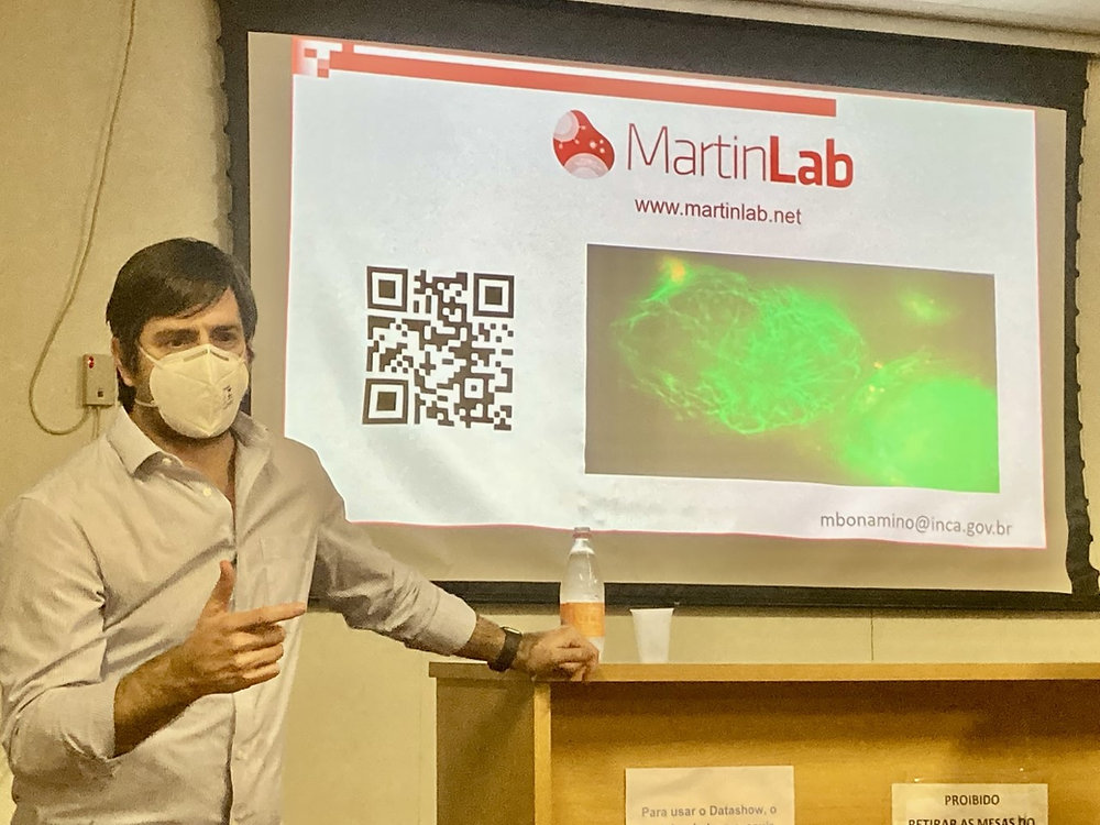 Modificação genética de linfócitos T para a imunoterapia do câncer