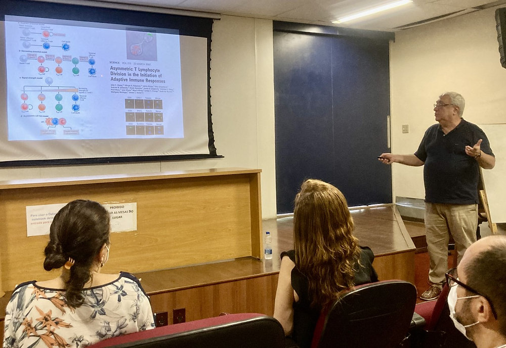 Em busca da memória imunológica: diferenciação de células T CD8