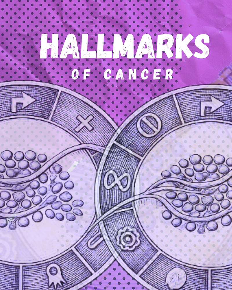“Hallmarks of cancer”: As alterações biológicas que propiciam a formação do tumor.